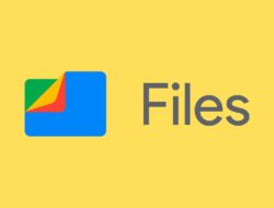 Penjelasan Lengkap Google Files